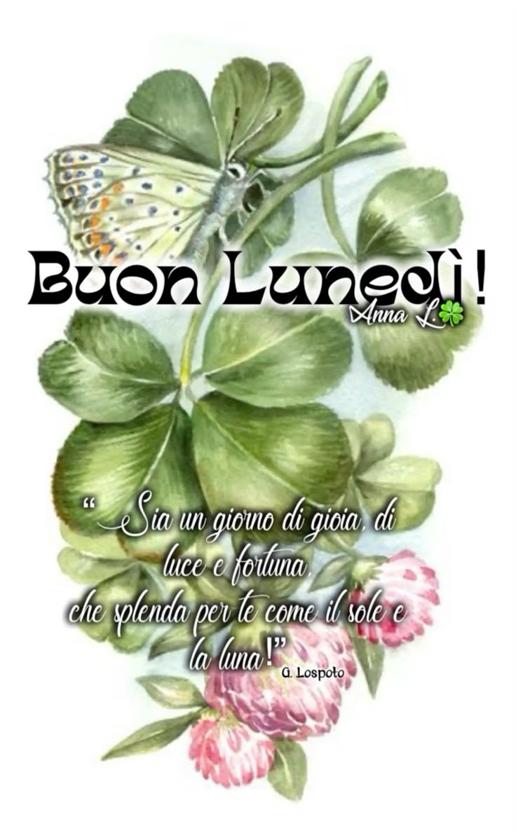 Immagini Buongiorno Lunedi​ 36