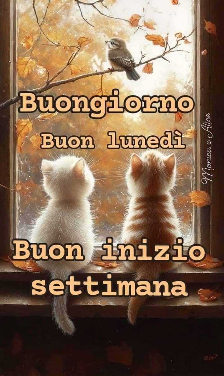 Immagini Buongiorno Lunedi​ 37