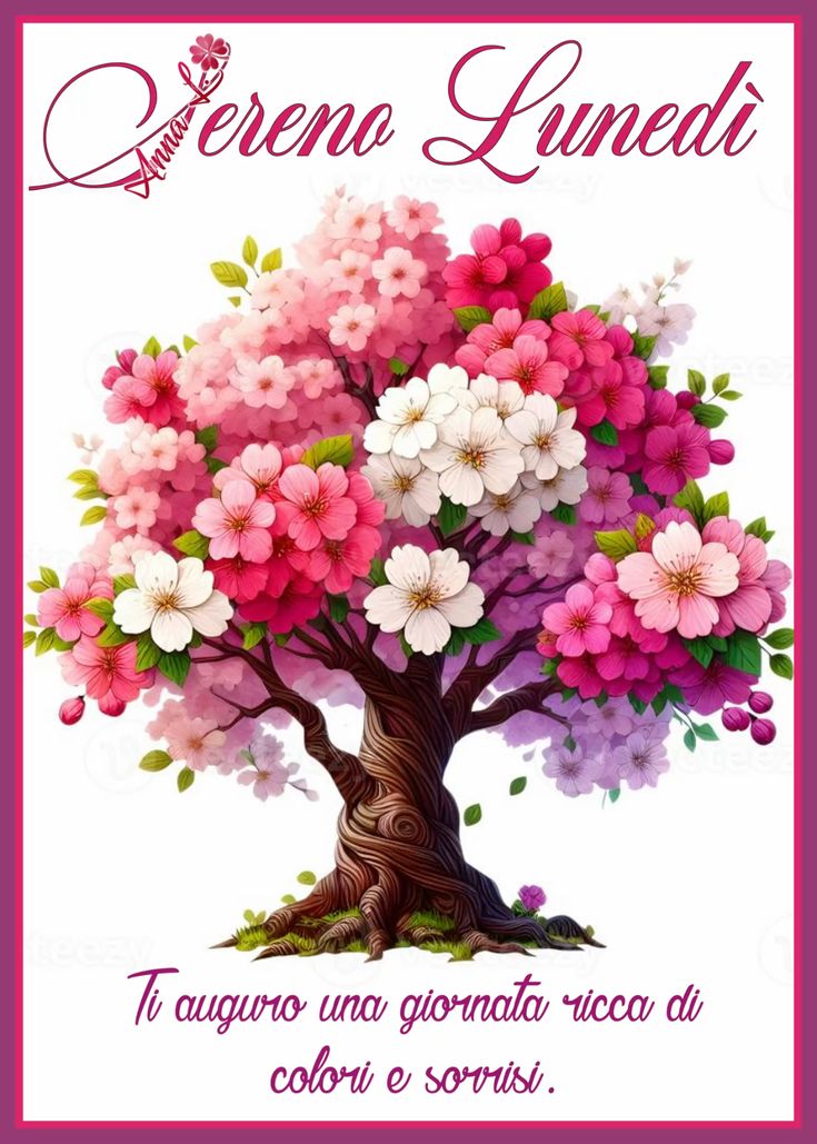 Immagini Buongiorno Lunedi​ 51