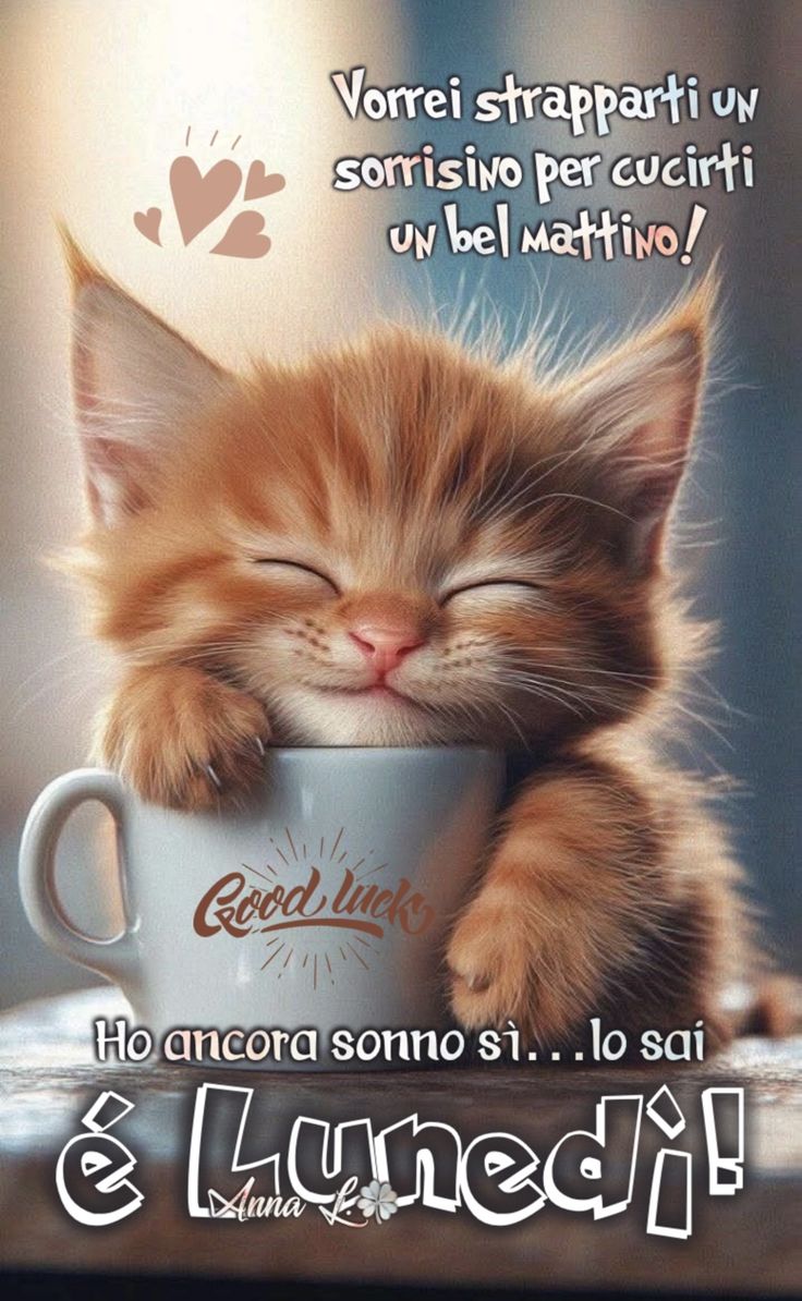 Immagini Buongiorno Lunedi​ 64