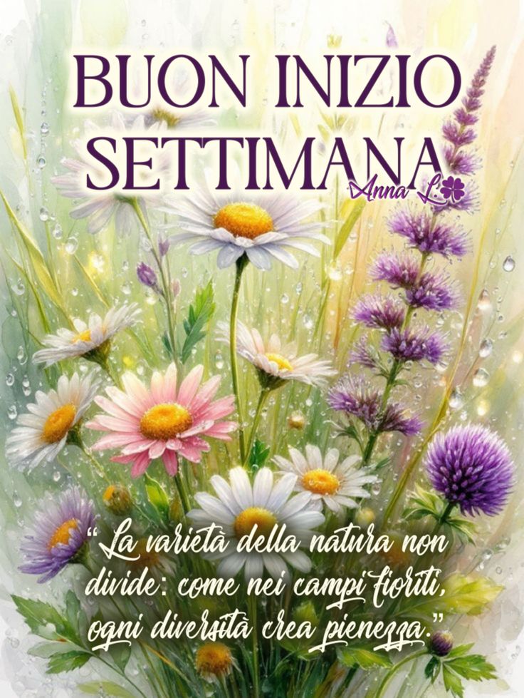 Immagini Buongiorno Lunedi​ 8