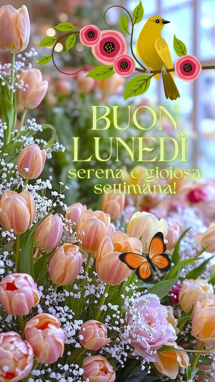 Immagini Buongiorno Lunedi​ 80