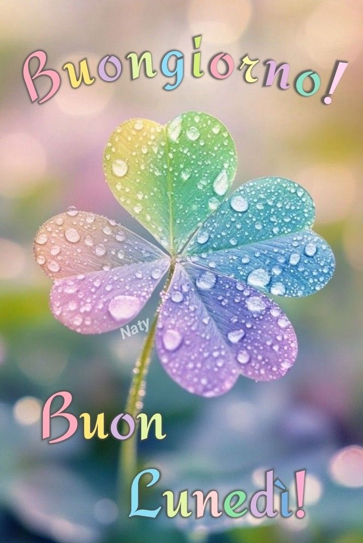 Immagini Buongiorno Lunedi​ 84