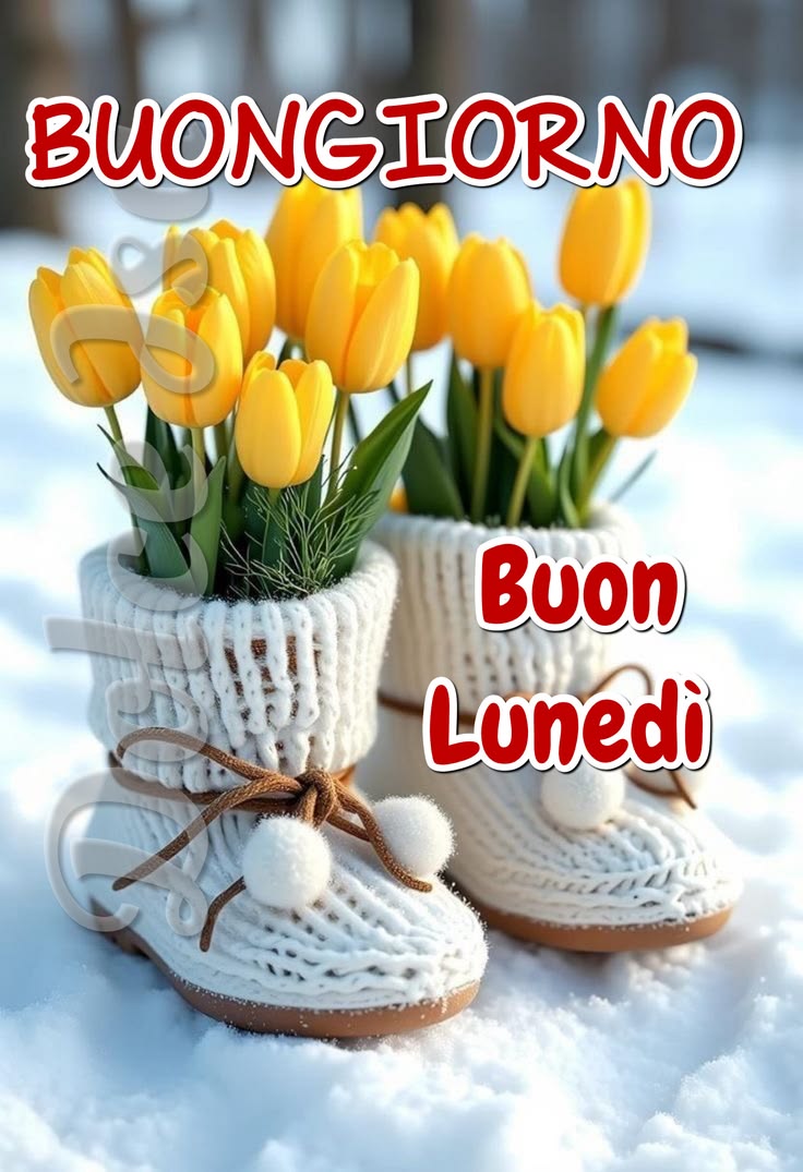 Immagini Buongiorno Lunedi​ 98