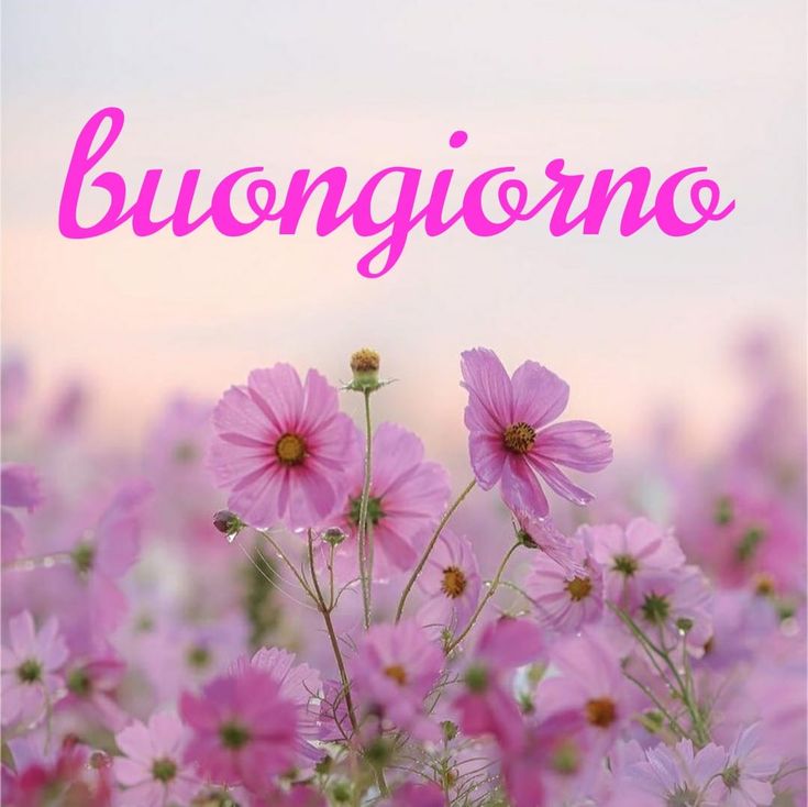 Immagini Buongiorno​ 127