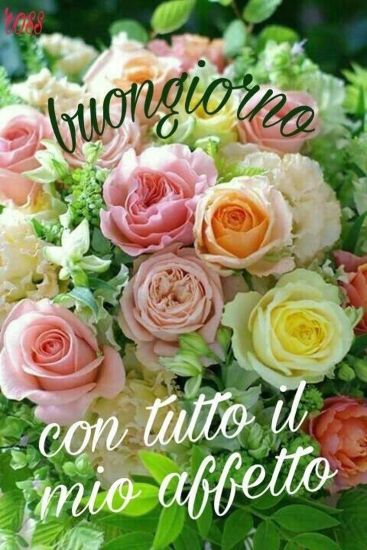 Immagini Buongiorno​ 26