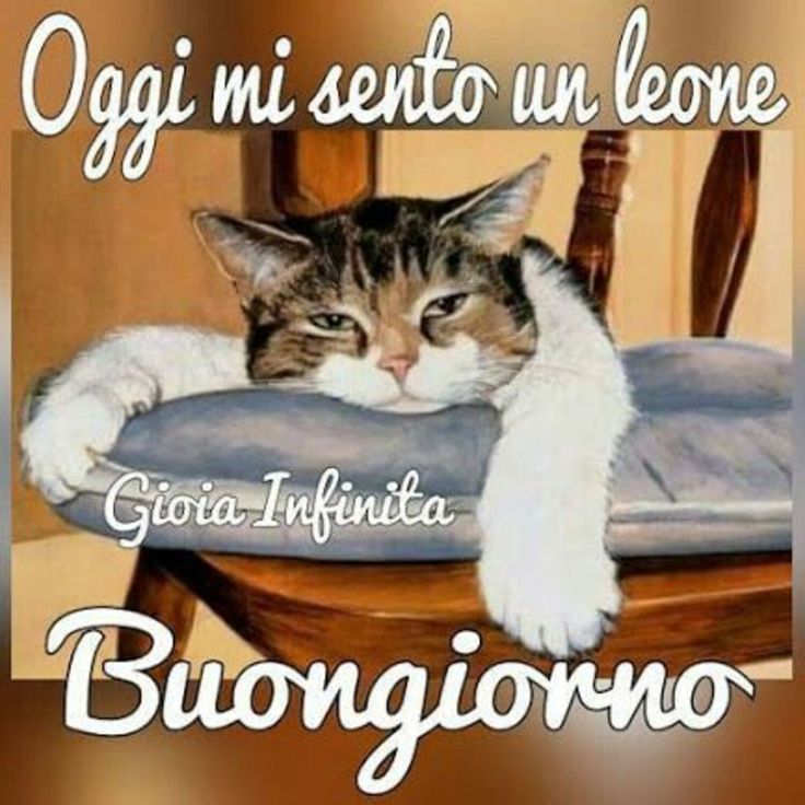 Immagini Buongiorno​ 30