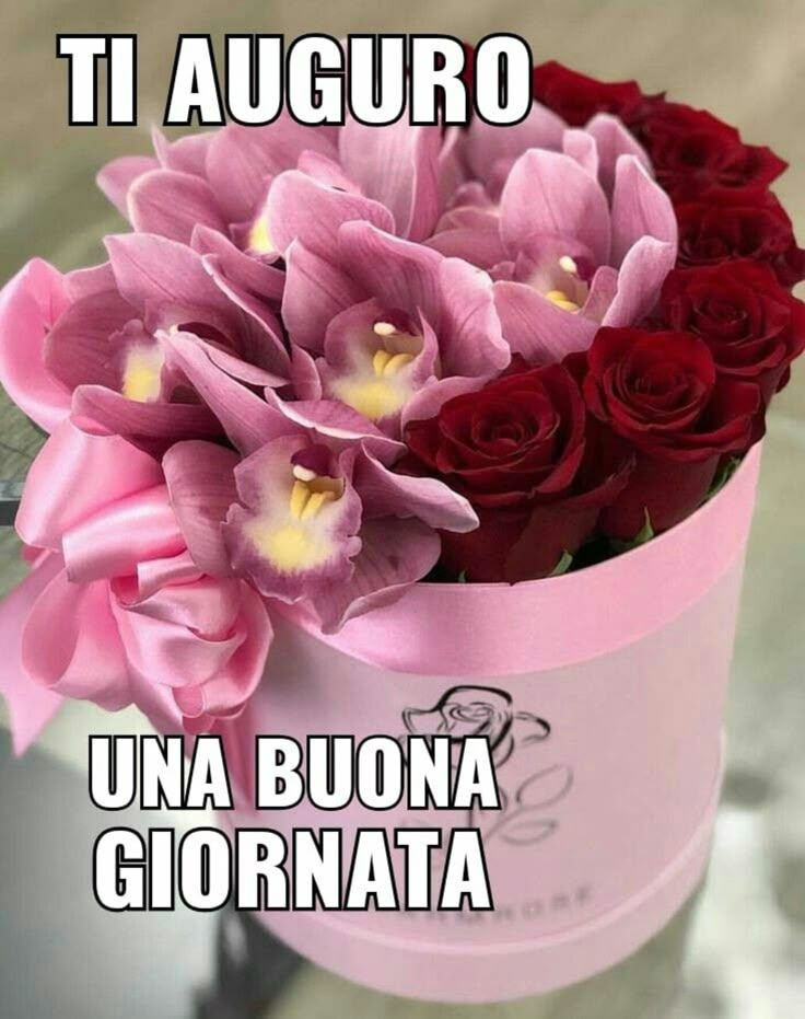 Immagini Buongiorno​ 41