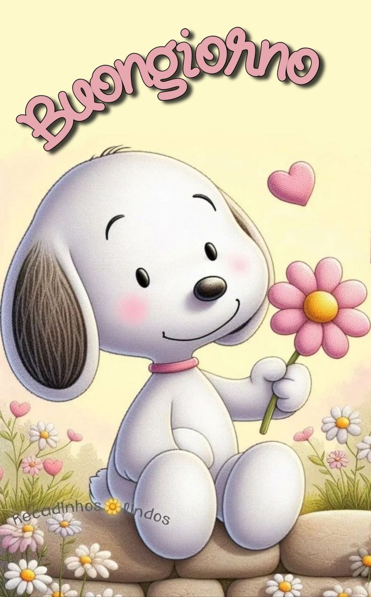 Immagini Buongiorno​ 43