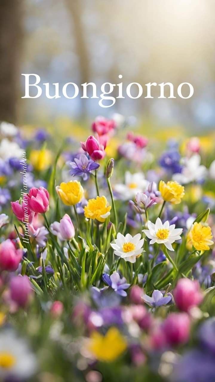 Immagini Buongiorno​ 44