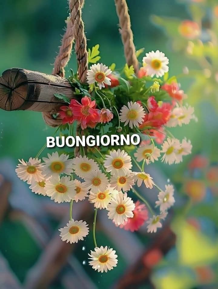 Immagini Buongiorno​ 5