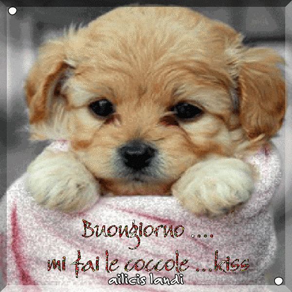 Immagini Buongiorno​ 53