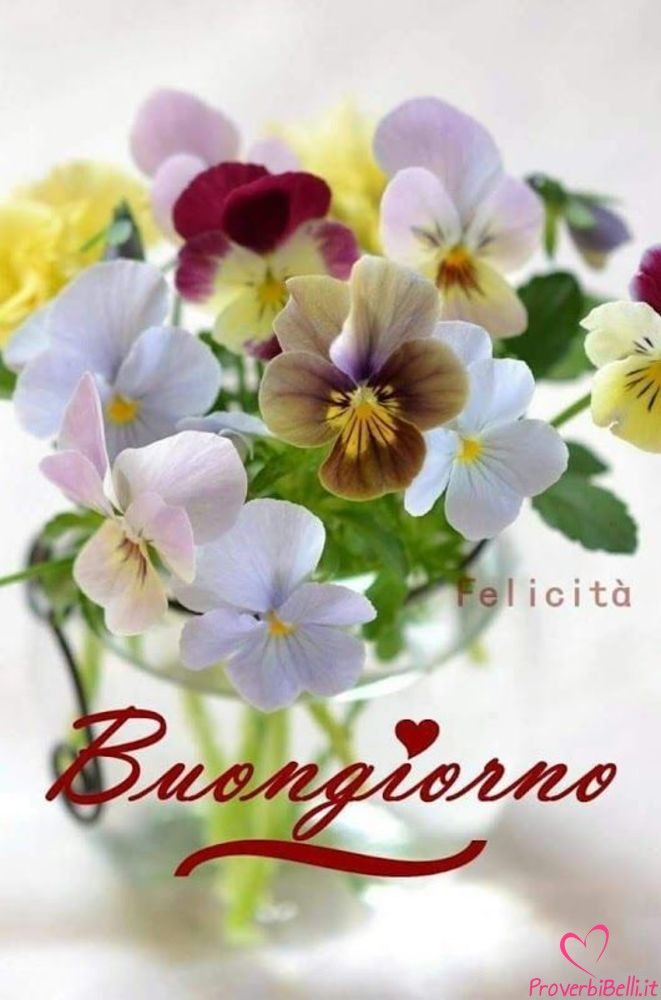 Immagini Buongiorno​ 62