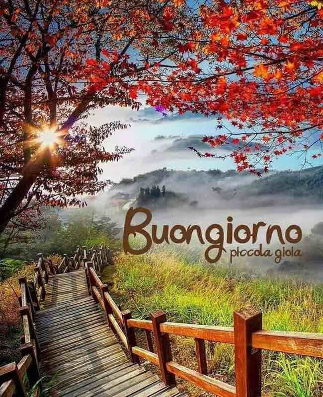 Immagini Buongiorno​ 66