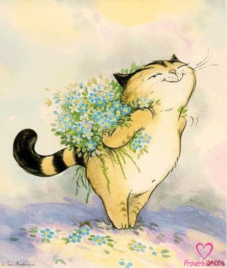 Immagini Buongiorno​ 70