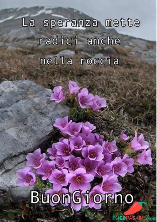 Immagini Buongiorno​ 80