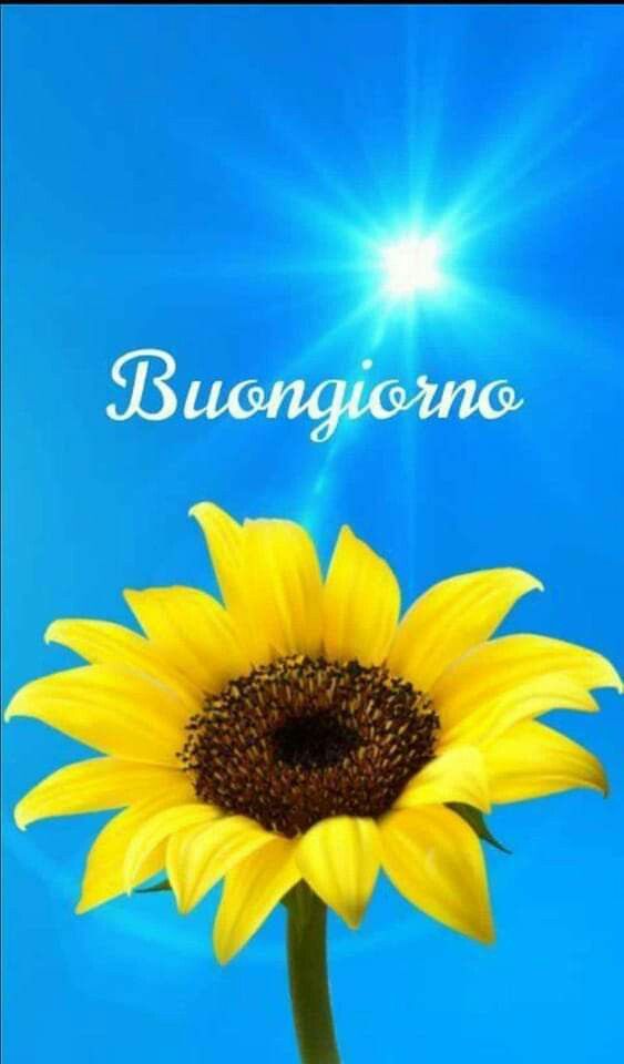 Immagini Buongiorno​ 86
