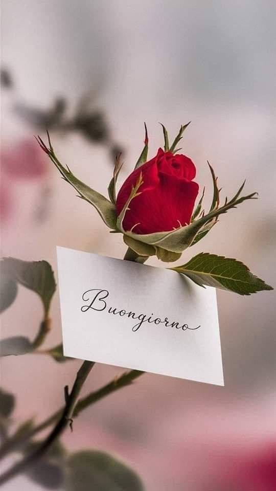 Immagini Buongiorno​ 9