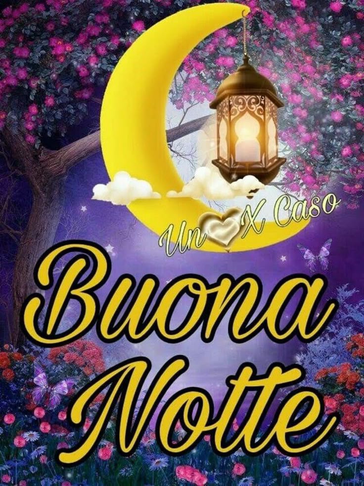 Immagini Della Buonanotte​ 113