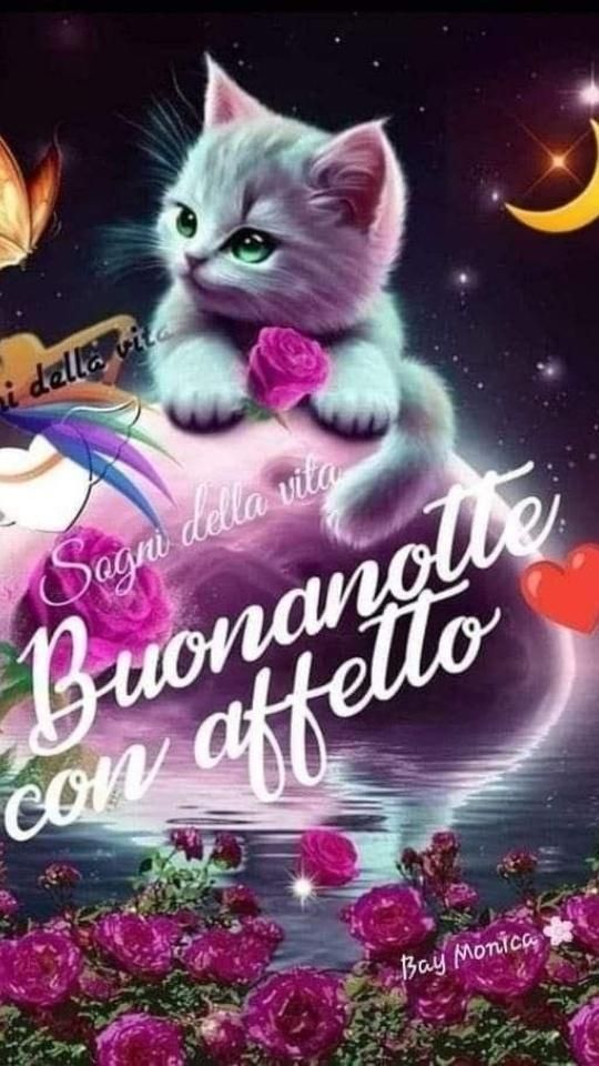 Immagini Della Buonanotte​ 118