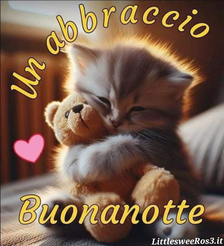 Immagini Della Buonanotte​ 6