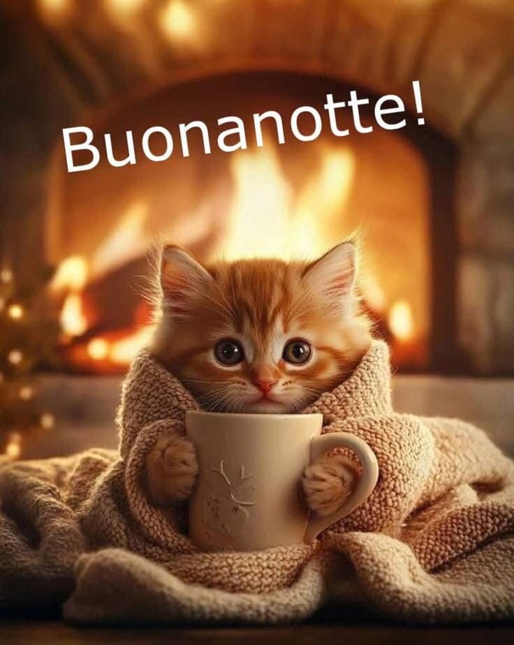Immagini Della Buonanotte​ 67