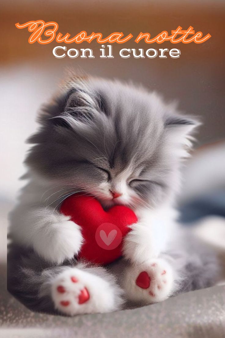 Immagini Della Buonanotte​ 81