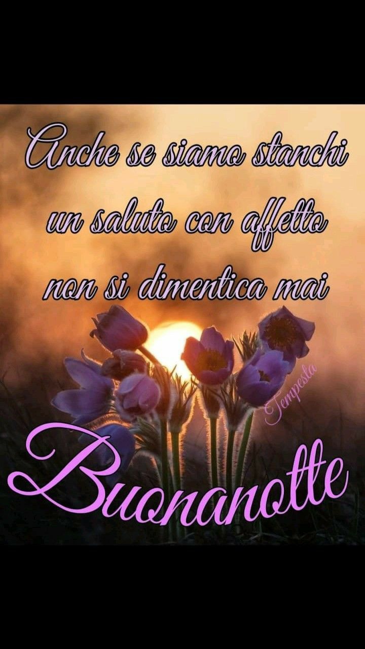 Immagini Della Buonanotte​ 9