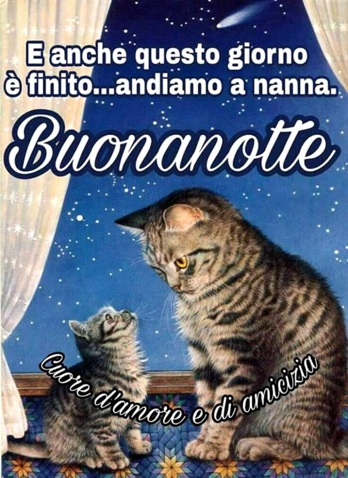 Immagini Della Buonanotte​ 97