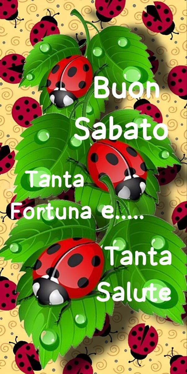 Immagini Di Buon Sabato​ 104