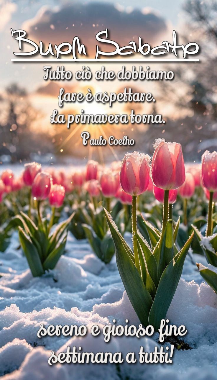 Immagini Di Buon Sabato​ 110