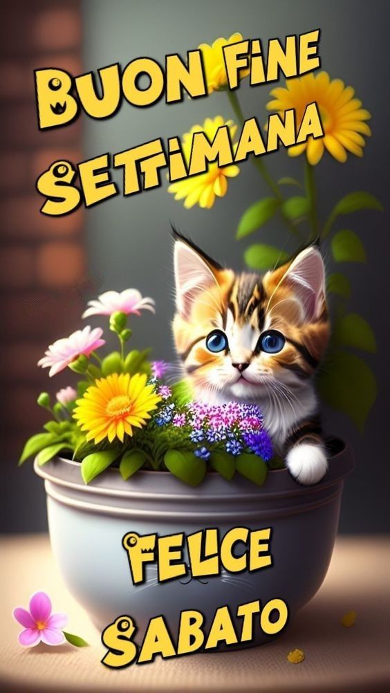 Immagini Di Buon Sabato​ 115