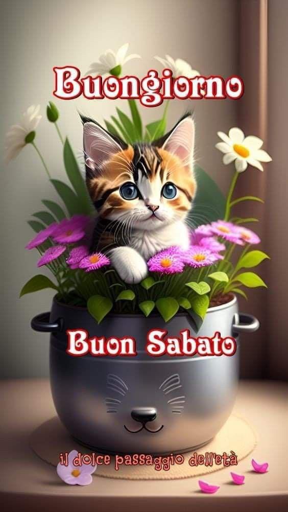 Immagini Di Buon Sabato​ 126