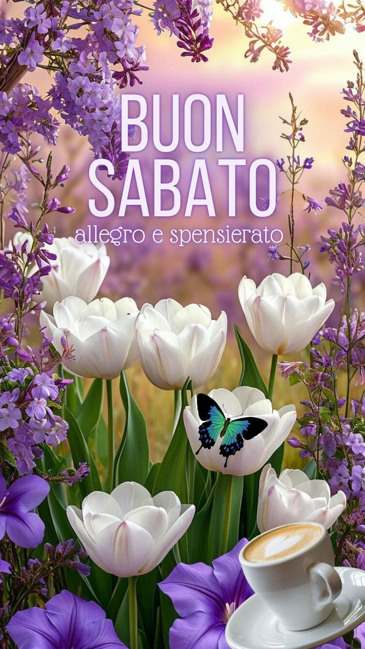 Immagini Di Buon Sabato​ 14