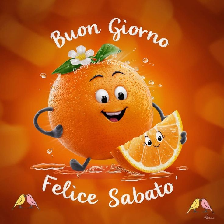 Immagini Di Buon Sabato​ 26