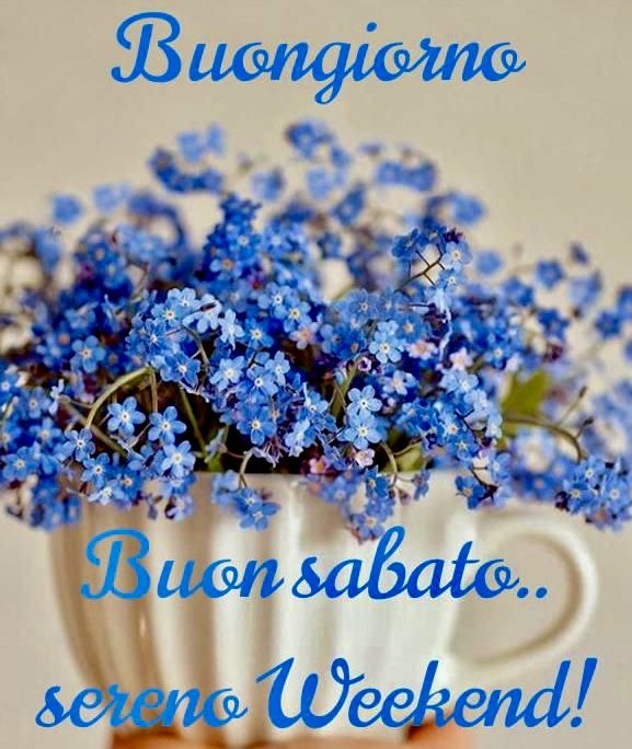 Immagini Di Buon Sabato​ 47