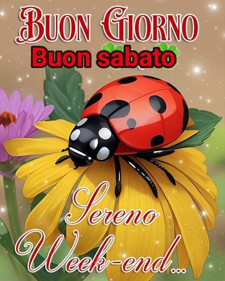 Immagini Di Buon Sabato​ 48