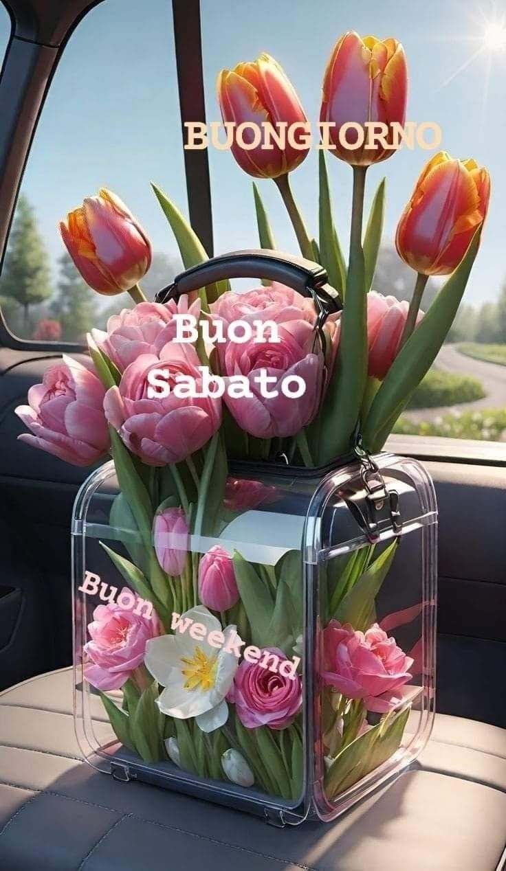 Immagini Di Buon Sabato​ 55