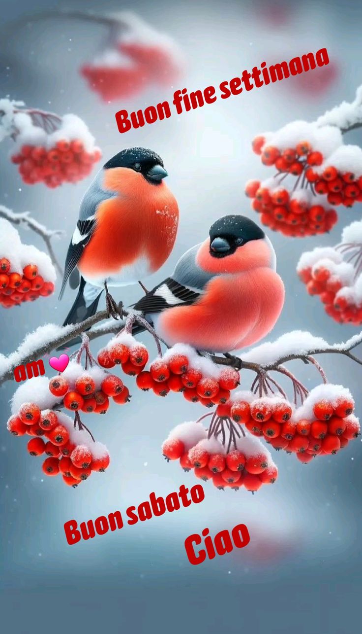 Immagini Di Buon Sabato​ 73