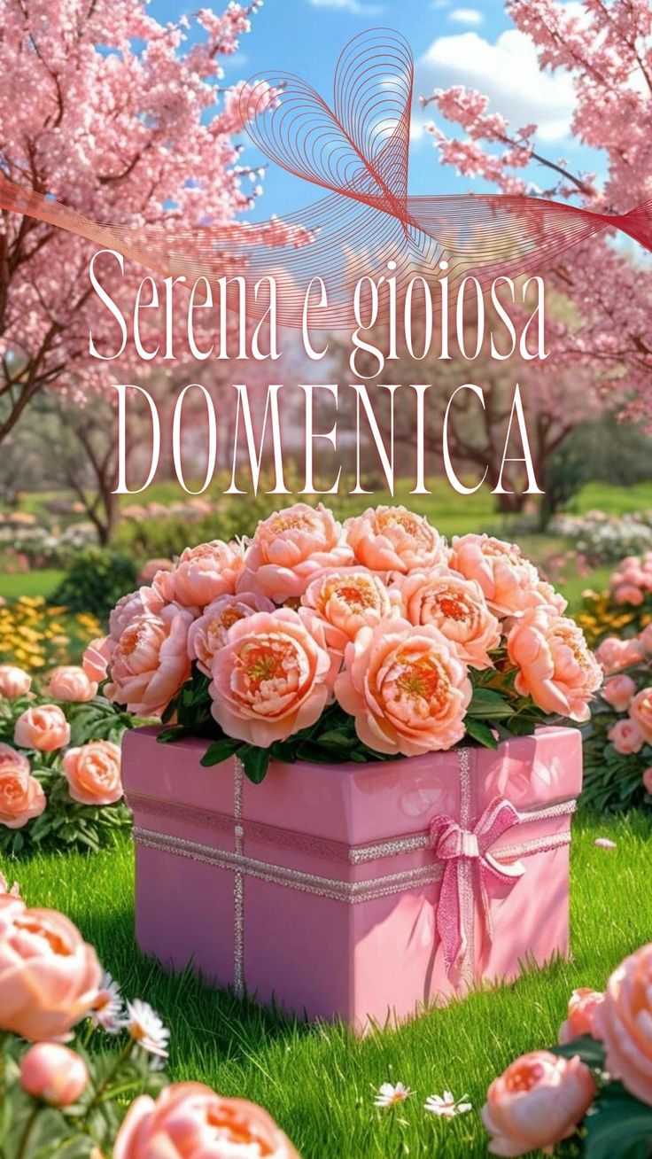 Immagini Di Buona Domenica​ 104