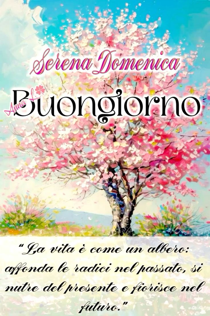 Immagini Di Buona Domenica​ 116