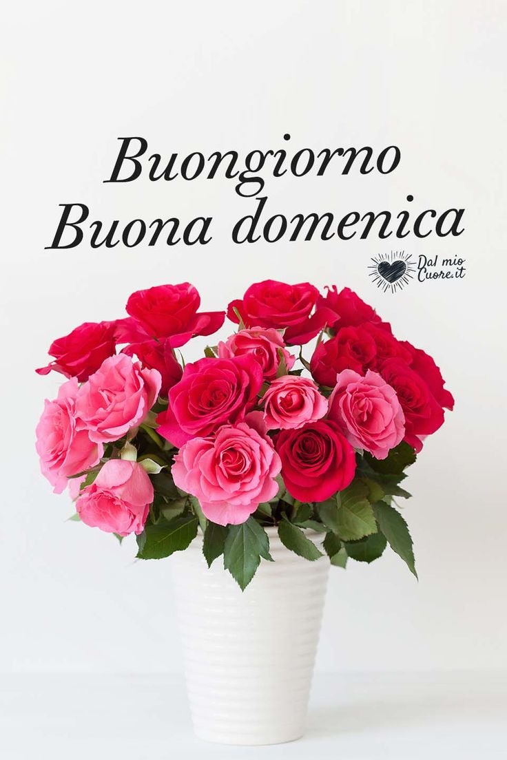 Immagini Di Buona Domenica​ 124