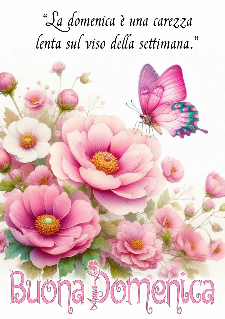 Immagini Di Buona Domenica​ 20