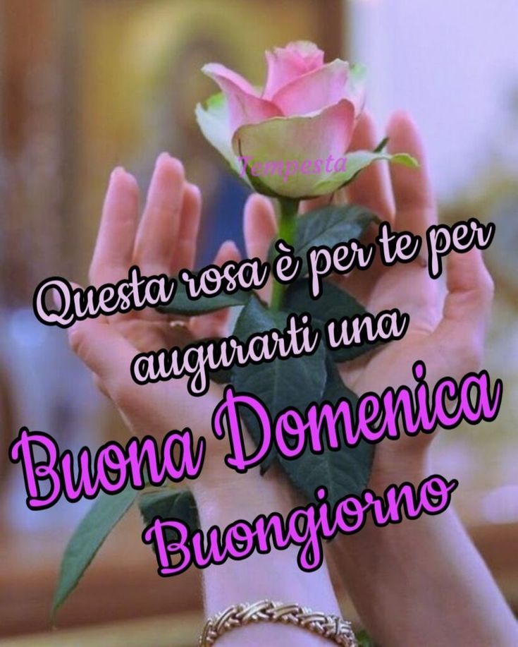 Immagini Di Buona Domenica​ 21