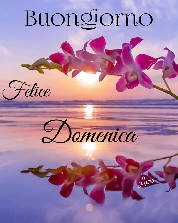 Immagini Di Buona Domenica​ 24