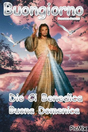 Immagini Di Buona Domenica​ 27