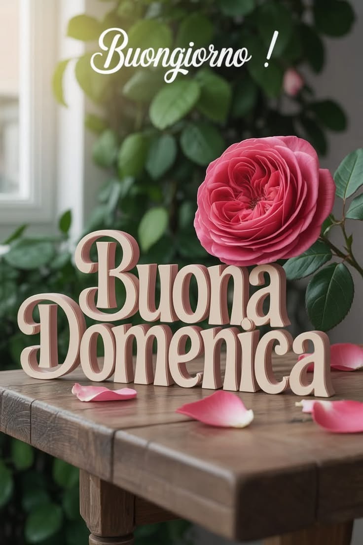 Immagini Di Buona Domenica​ 3