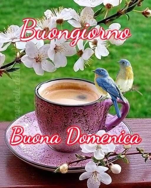 Immagini Di Buona Domenica​ 45