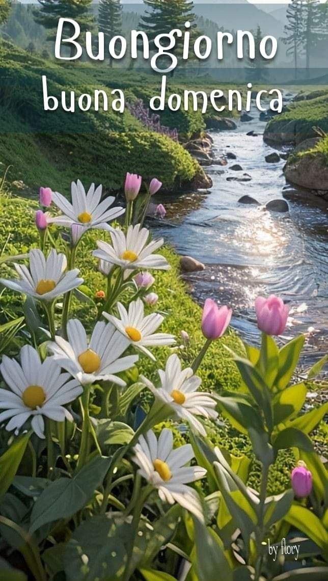 Immagini Di Buona Domenica​ 74