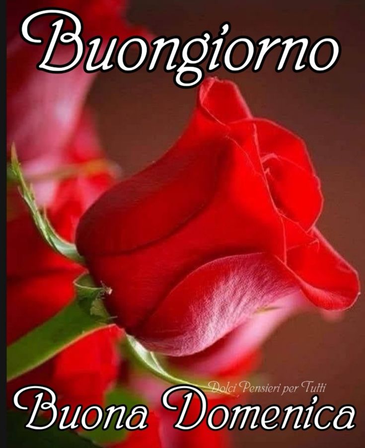 Immagini Di Buona Domenica​ 98